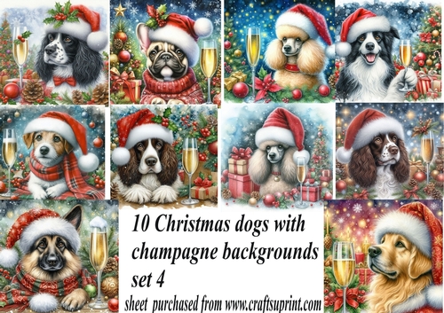 10 Christmas champagne dog backgrounds 4 (png)