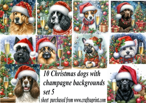 10 Christmas champagne dog backgrounds 5 (png)