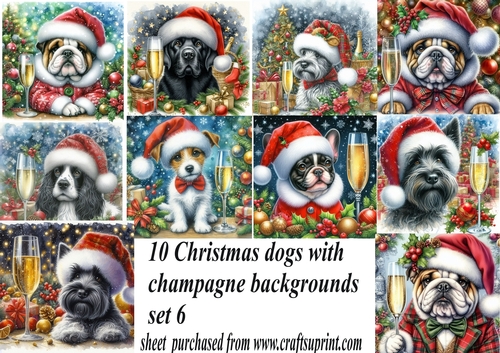 10 Christmas champagne dog backgrounds 6 (png)