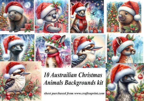 10 Austrailian Christmas animals backgrounds kit(png)