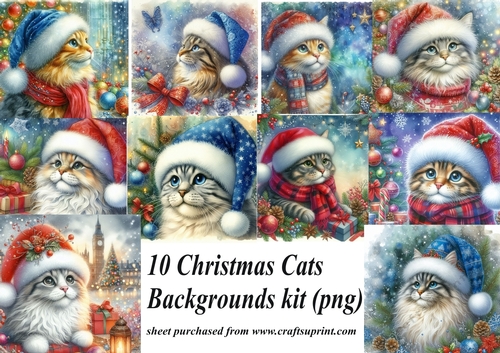 10 Christmas cat backgrounds (png) kit