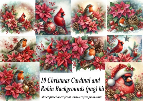 10 Christmas cardinal and robin backgrounds (png) kit