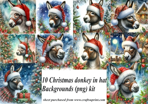 10 Christmas donkey in hat backgrounds (png) kit