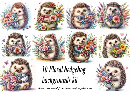 10 Floral hedgehog backgrounds (png) kit