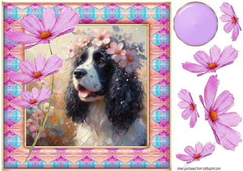 Painted Springer spaniel card front 1