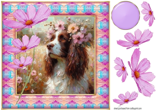 Painted Springer spaniel card front 2