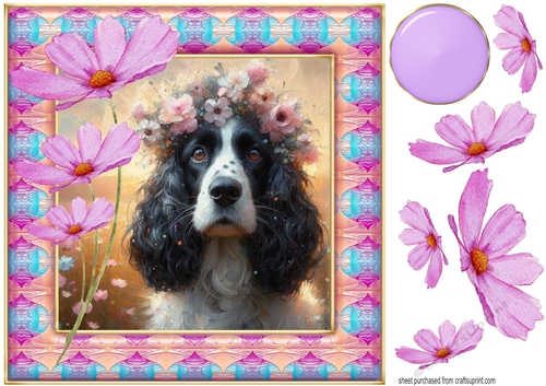 Painted Springer spaniel card front 4