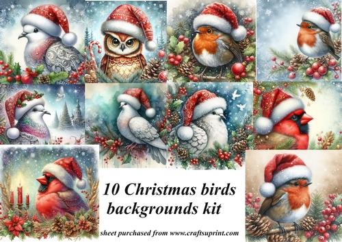 10 Christmas birds backgrounds kit(png)