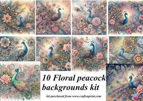 10 Floral peacock backgrounds kit (png)