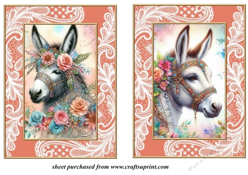 2 Orange floral donkey card fronts