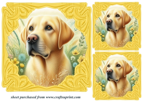 3 Yellow Labrador card front/toppers