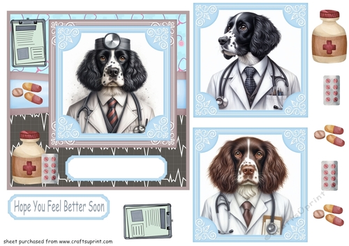 Springer Spaniel doctor get well soon card front
