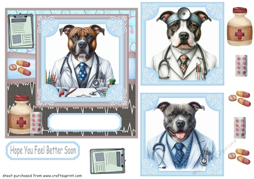 Staffie doctor get well soon card front