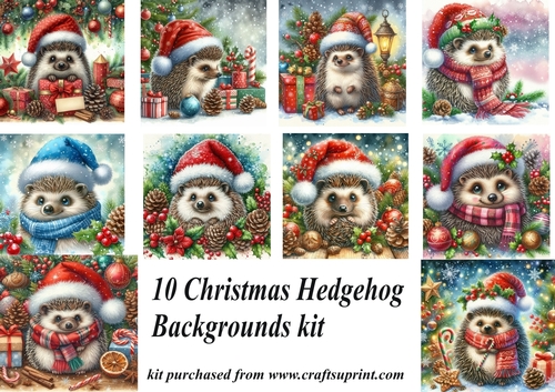 10 Christmas hedgehog backgrounds kit