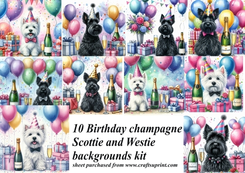 Scottish terrier and West Highland terrier champagne Birthday backgrounds kit