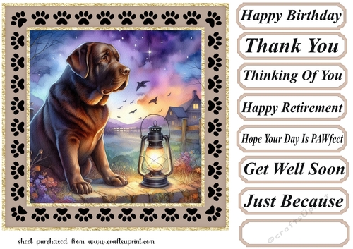 Paw framed twilight dog card front 8