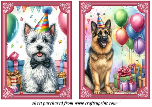 2 Birthday pup card fronts 3