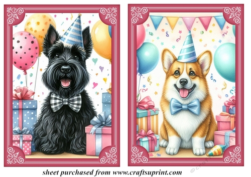 2 Birthday pup card fronts 18