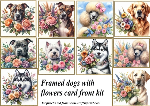 10 Framed dog with flowers card front kit