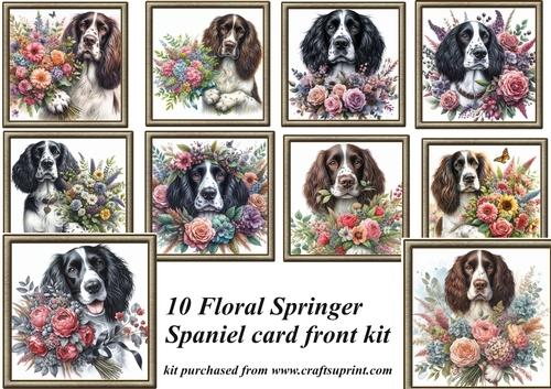 10 Framed floral Springer Spaniel card front kit