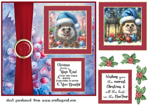 2 Panel Christmas hedgehog card front 4