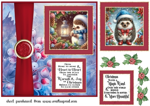 2 Panel Christmas hedgehog card front 5