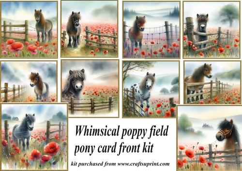 10 Whimsical poppy fields pony card fronts kit