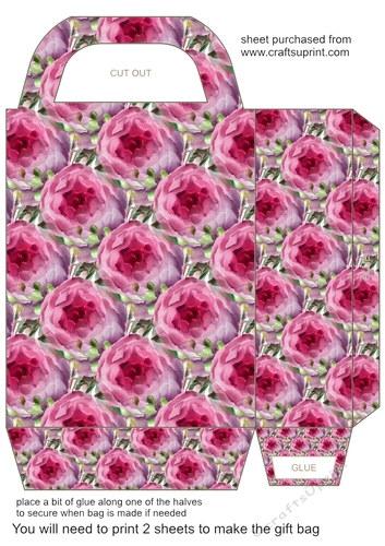 Floral gift bag (n) 12