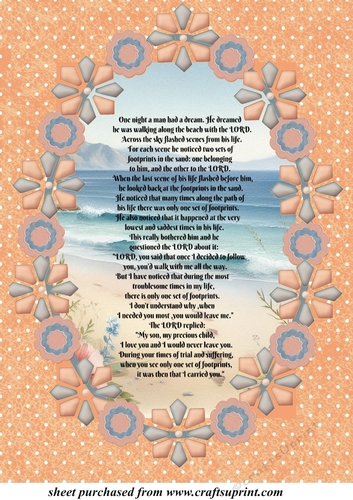 Large footprints in the sand topper