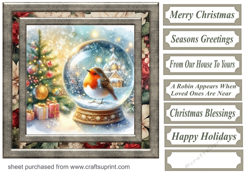 Christmas robin snow globe card front 1