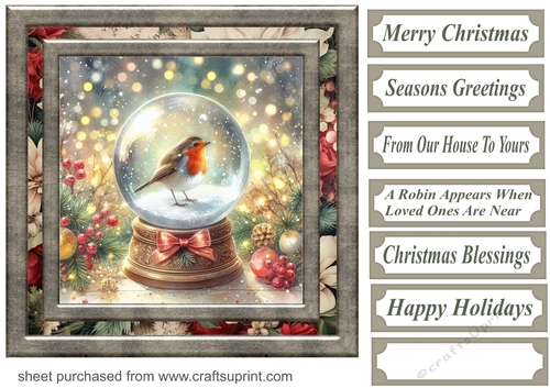 Christmas robin snow globe card front 3