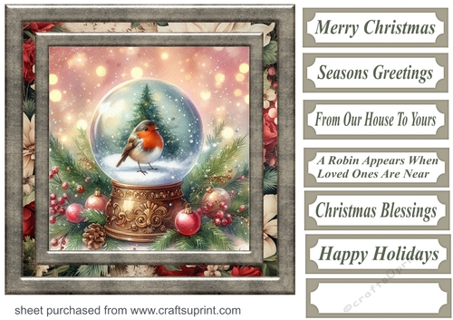 Christmas robin snow globe card front 4