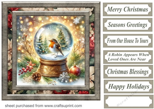Christmas robin snow globe card front 5