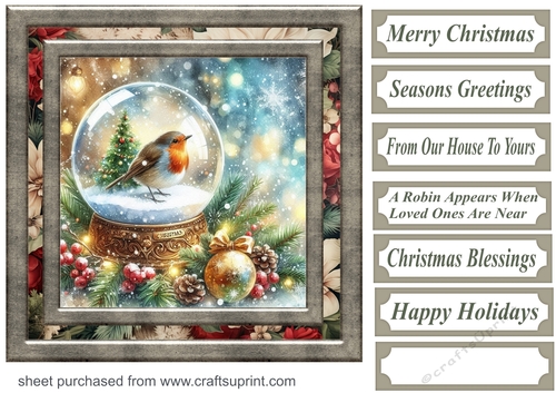Christmas robin snow globe card front 6