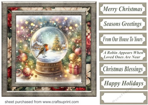 Christmas robin snow globe card front 7