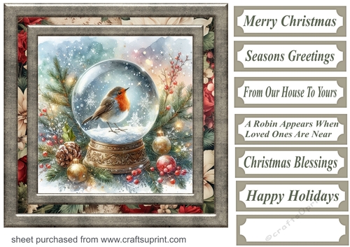 Christmas robin snow globe card front 8