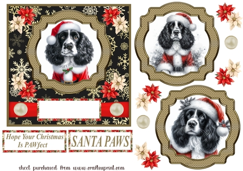 Black and white Springer Spaniel Santa card front