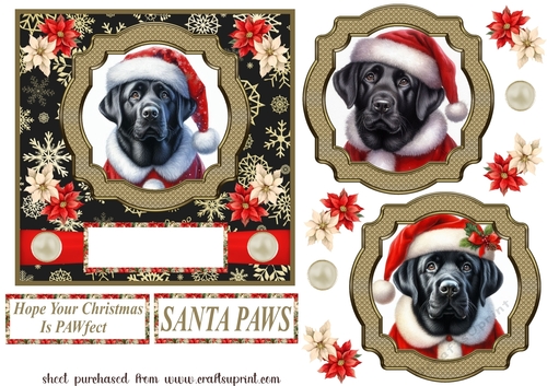 Black Labrador Santa card front