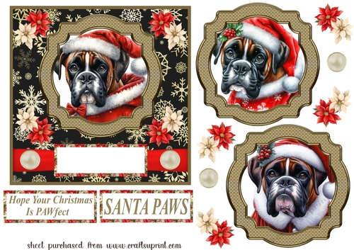 Boxer Santa card front