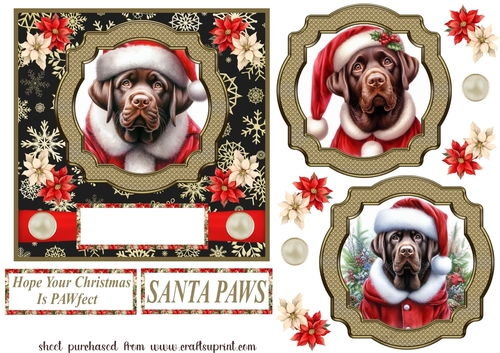 Chocolate Labrador Santa card front
