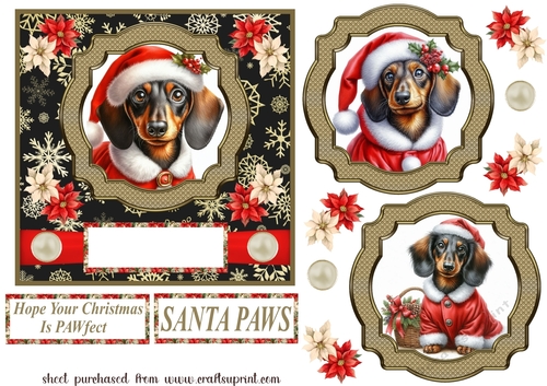 Dachshund Santa card front