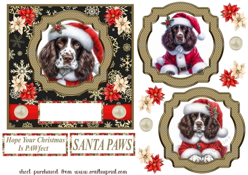 Liver and white Springer Spaniel Santa card front