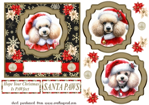 Poodle Santa card front
