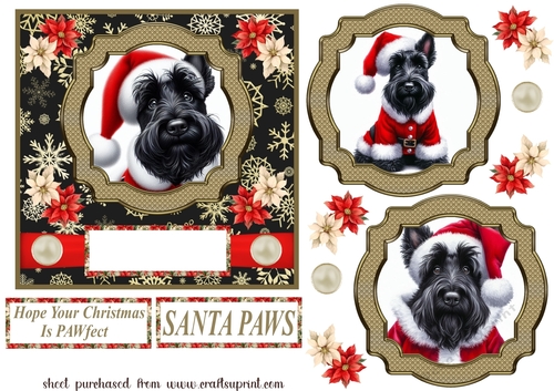 Scottie Santa card front