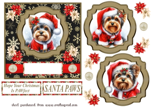 Yorkie Santa card front