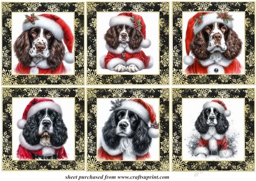 Springer Spaniel Santa toppers