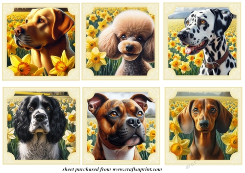 6 Daffodil dog toppers