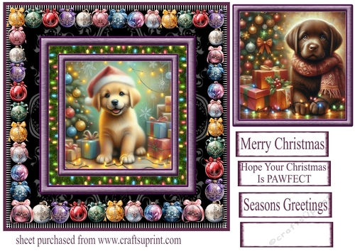 Labrador Christmas fairy light card front 1