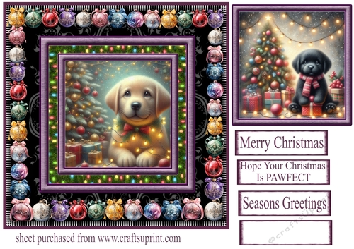 Labrador Christmas fairy light card front 2
