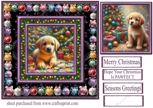 Labrador Christmas fairy light card front 5